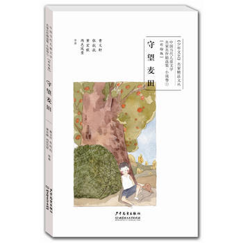 中国当代儿童文学名家名作精选集(彩绘版)小说卷1：守望麦田