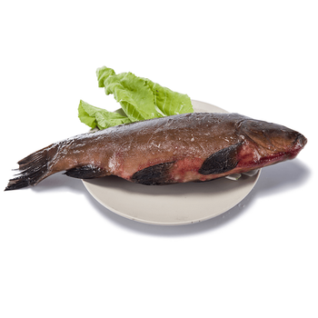 阿吾勒 新疆野生黑鱼 新品 称重0.7-0.