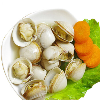 霍小鲜 连云港鲜活白蛤蜊蚬子 500g 20-30个 海鲜水产
