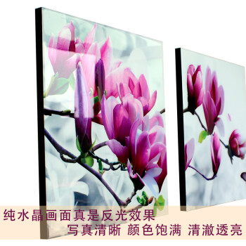 
                                        装饰画客厅现代简约 水晶无框装饰画 现代沙发背景墙装饰画 简约墙画壁画装饰画 W07高雅郁金香 60*60 三件套                