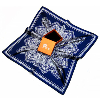 绮琞caysonutana佩斯利花纹男士方巾英伦复古领巾丝巾小围巾蓝色