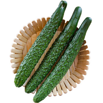 百年栗园 新鲜黄瓜 约500g 新鲜蔬菜 现摘现发