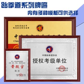 考级单位牌匾晋级官奖牌木质牌匾高级教练证书认证道馆 木托铜牌定制