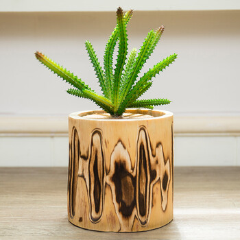 创意家居装饰摆件仿真植物火烧杉木笔筒工艺品 笔筒 木桩1