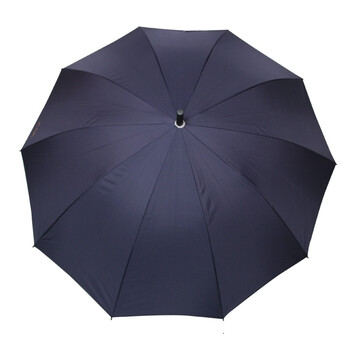 
                                        
                                                            天堂伞 直杆伞自开长柄伞晴雨伞加大2-3人经典商务伞雨伞70cm*10骨 193E1#深藏青                
