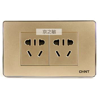 香槟金色 118型 new5f 二位二插 10孔插座