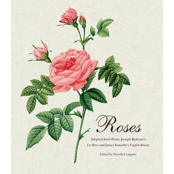 Roses[玫瑰] 英文原版