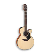 Eastman 伊斯特曼AR805CE
