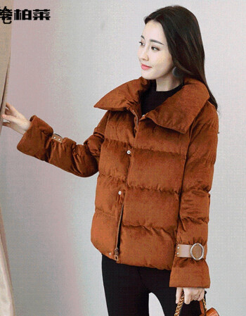 女装 棉服 露伦(lulun) 2017冬季新款韩版大翻领喇叭袖小个子棉袄短款