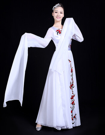 古典舞水袖舞蹈服装表演服现代飘逸中国风中学生古筝演出服女 白色 s