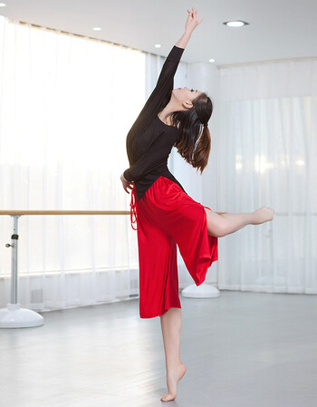 莫代尔现代舞舞蹈练功服成人女套装 形体衣女男学生短袖宽松 开叉阔腿