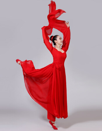 古典舞演出服女飘逸中国风舞蹈古装清新淡雅水袖舞服装hz 红色水袖 m