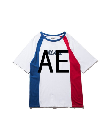 ae 潮滑板潮牌palace life 17ss tree color t-shirt 拼 主色白 165