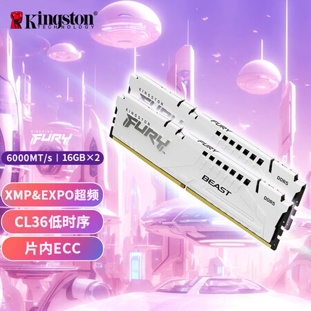 金士顿（Kingston）FURY 32GB(16G×2)套...