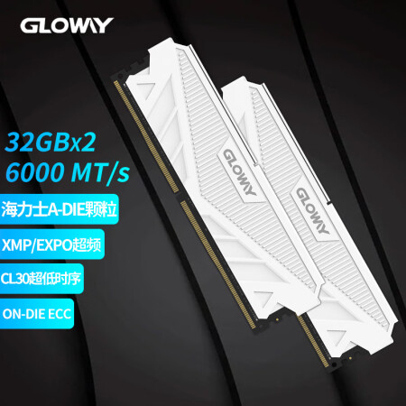 光威（Gloway）64GB(32GBx2)套装 DDR5 ...