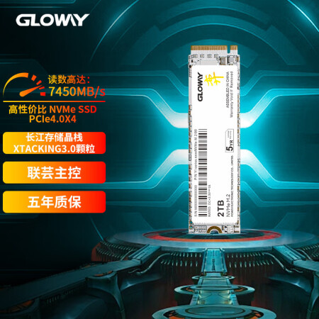 光威（Gloway）SSD固态硬盘 M.2接口 TLC/QL...