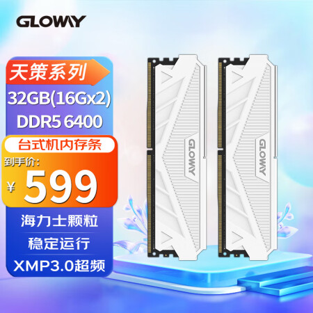 光威（Gloway）32GB(16GBx2)套装 DDR5 ...