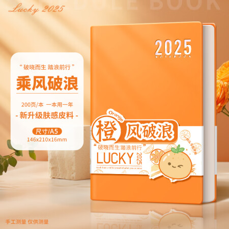 慢作 2025年日程本365天日历记事本每日计划本时间管理效...