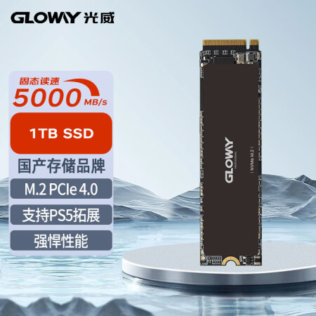 光威（Gloway）1TB SSD固态硬盘 M.2接口(NV...