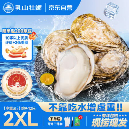 乳山牡蛎【源头直发】鲜活乳山生蚝2XL号 净重3斤装 9-1...