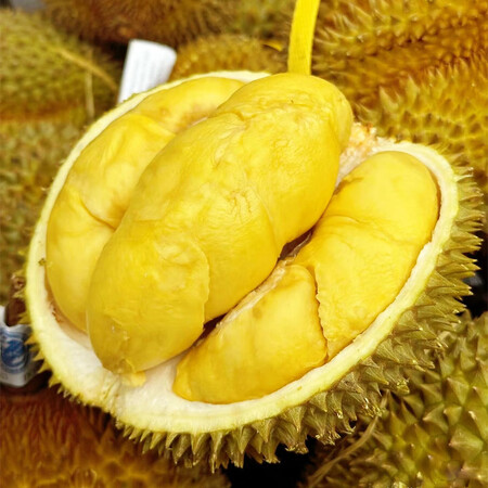 泰国进口新鲜金枕头榴莲 整果榴莲 新鲜生鲜水果 预售带箱金枕...