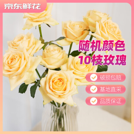 京东鲜花玫瑰花随机颜色10枝东基地送老婆女朋友礼物热卖鲜花源...