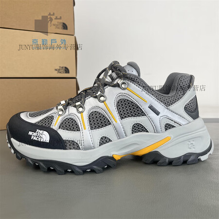 北面（The North Face）24秋冬北面GTX男士H...