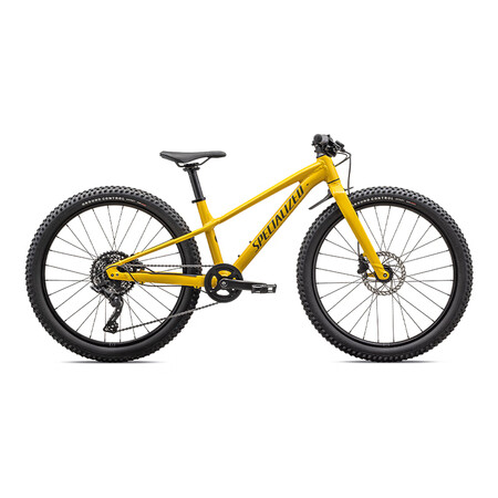 闪电（SPECIALIZED）RIRO 2024英寸 9速 ...