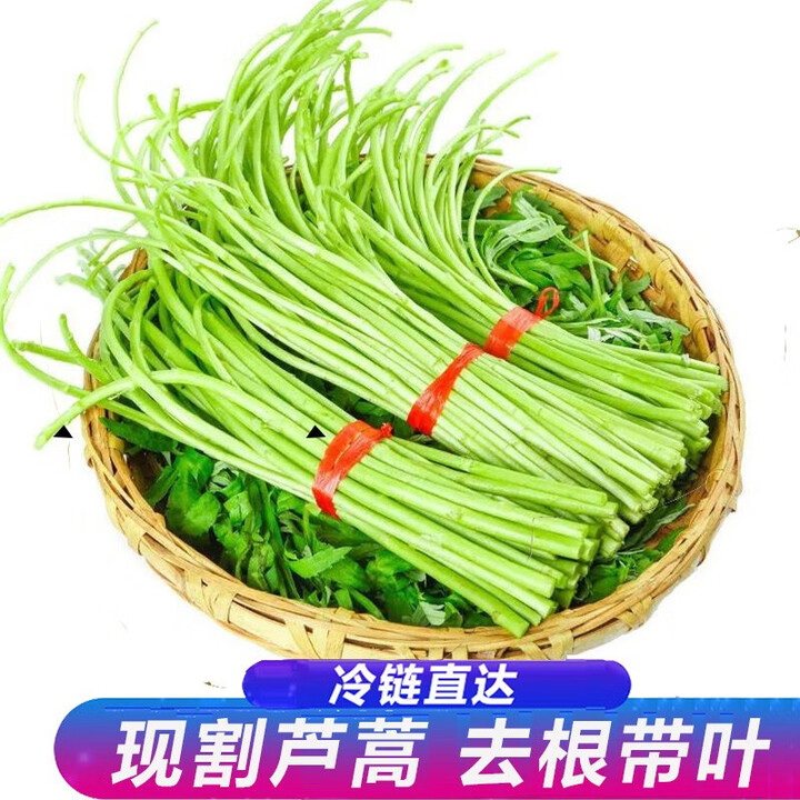 新鲜藜蒿 泥蒿 芦蒿青篱蒿蒌蒿茼蒿 新鲜蔬菜 4斤 去根带叶 2斤 3斤 去根带叶【图片 价格 品牌 报价】-京东