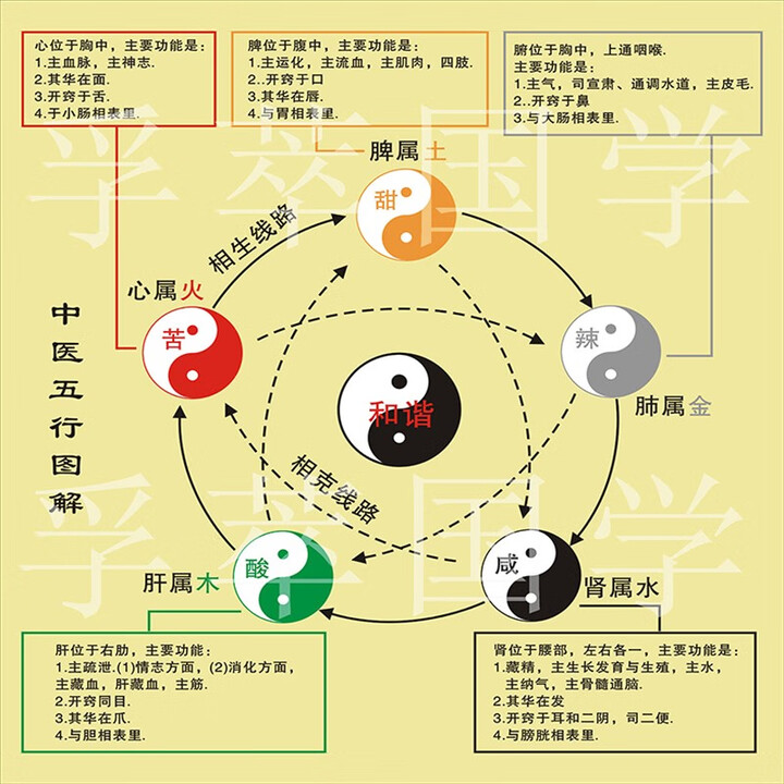 SKIDS中医五行图解周易经知识国学太极图八卦图养生理疗馆书房装饰壁画 花色 姜黄色加花边 150X150厘米【图片 价格 品牌 报价】-京东