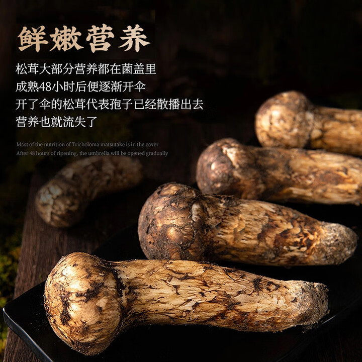 超级村长 松茸西藏林芝鲜松茸 高原菌菇 精选未开伞松茸礼盒装高端食材 7~9cm 1kg 松茸生长的地方西藏小江南【图片 价格 品牌 报价】-京东