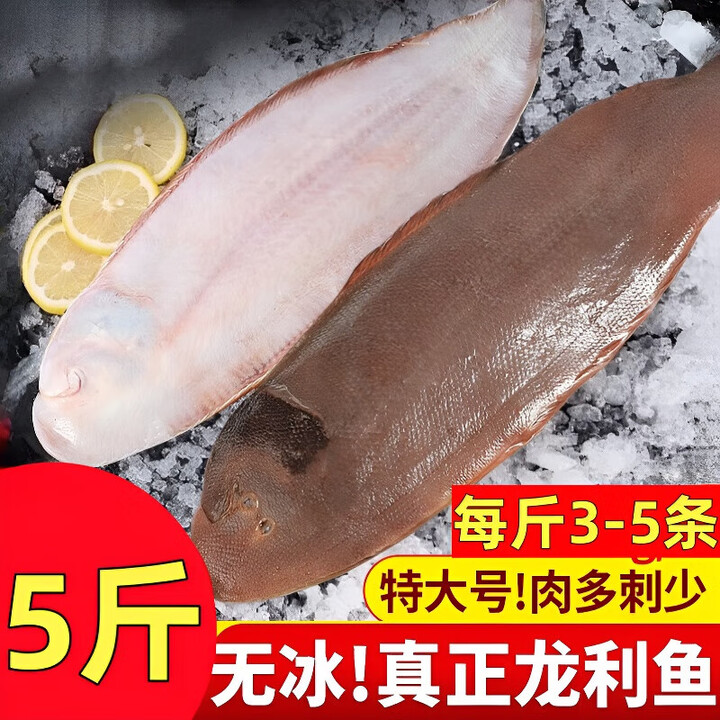 新鲜龙利鱼冷冻鳎目鱼比目鱼牛舌鱼龙舌鱼踏板鱼舌鳎鱼海鲜水产品 2500g 五斤【净重无冰】 一斤3-5条【图片 价格 品牌 报价】-京东