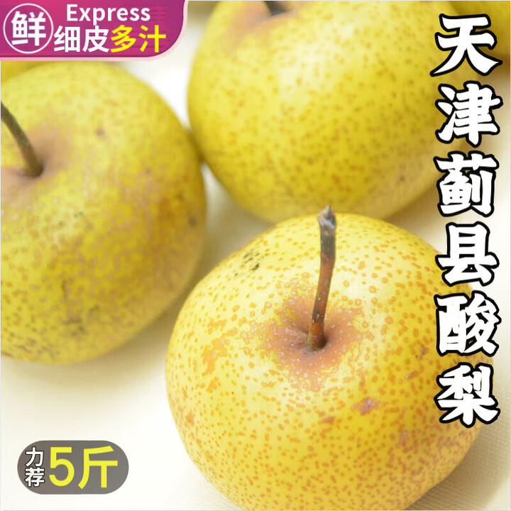 梦茜儿顺丰 蓟县小酸梨 老细皮安梨天津新鲜水果蓟州农家特产无渣多汁 5斤 小果【现摘头茬好果】普快【图片 价格 品牌 报价】-京东