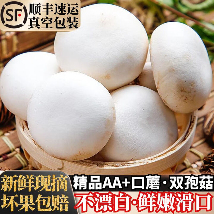 壹萌果蔬口蘑新鲜【顺丰冷链】双孢菇鲜菌菇白蘑菇菌菇口菇 【精选AA+级】1000g【图片 价格 品牌 报价】-京东