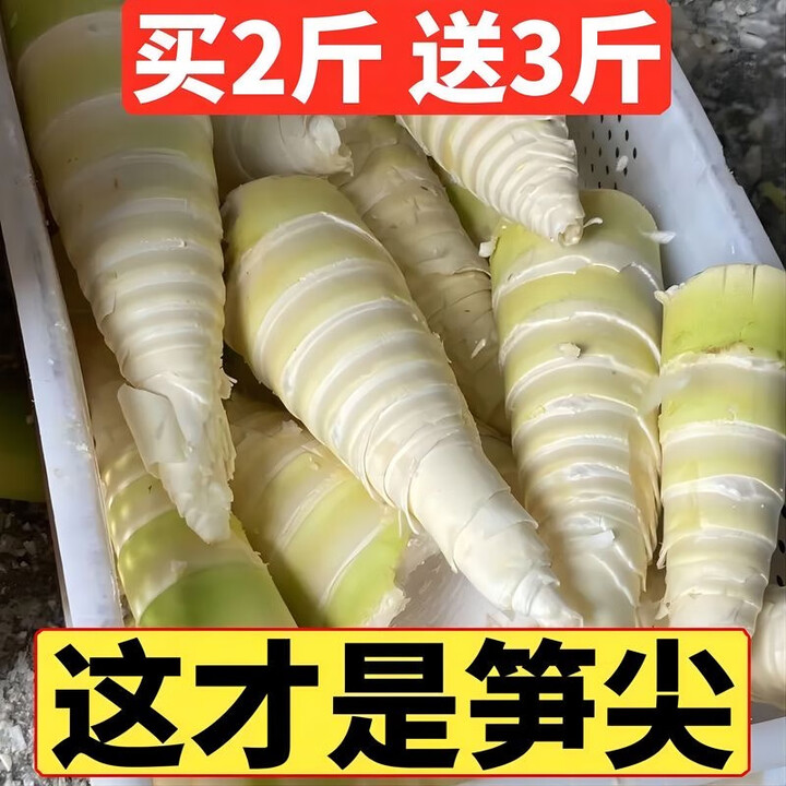 水果蔬菜竹笋新鲜野生嫩笋尖山笋小竹笋农家清水笋袋装春笋冬笋麻 纯嫩笋尖1600g【图片 价格 品牌 报价】-京东