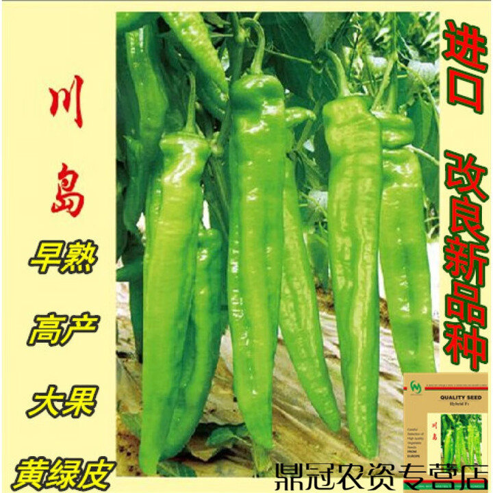 ONESAID辣椒种子 日本进口黄绿皮牛角尖椒大果型羊角椒川岛 F1 20粒分装【图片 价格 品牌 报价】-京东