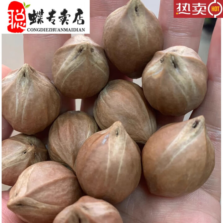 聪蝶橄榄核原料特大超大梅林铁核原籽手串红润佛珠念珠橄榄核原籽素核 2..2厘米1粒【图片 价格 品牌 报价】-京东