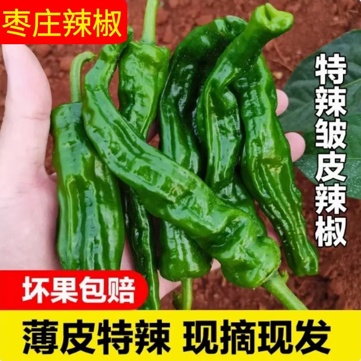 山东枣庄辣椒薄皮土辣椒新鲜蔬菜本地小皱皮青辣椒超辣螺丝椒特辣 1000g （正宗枣庄薄皮辣椒）【图片 价格 品牌 报价】-京东