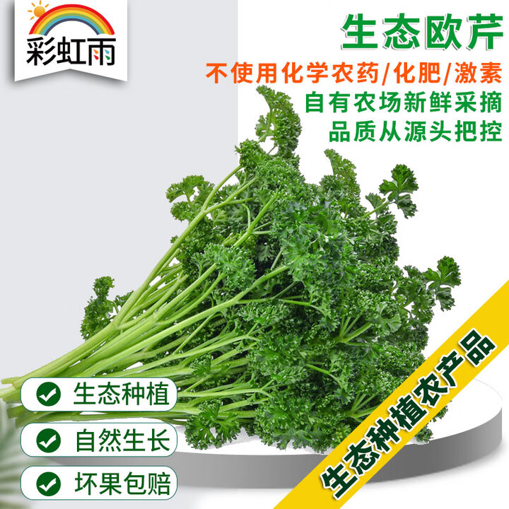 彩虹雨北京农场 欧芹法香荷兰芹100g 生态蔬菜 【图片 价格 品牌 报价】-京东
