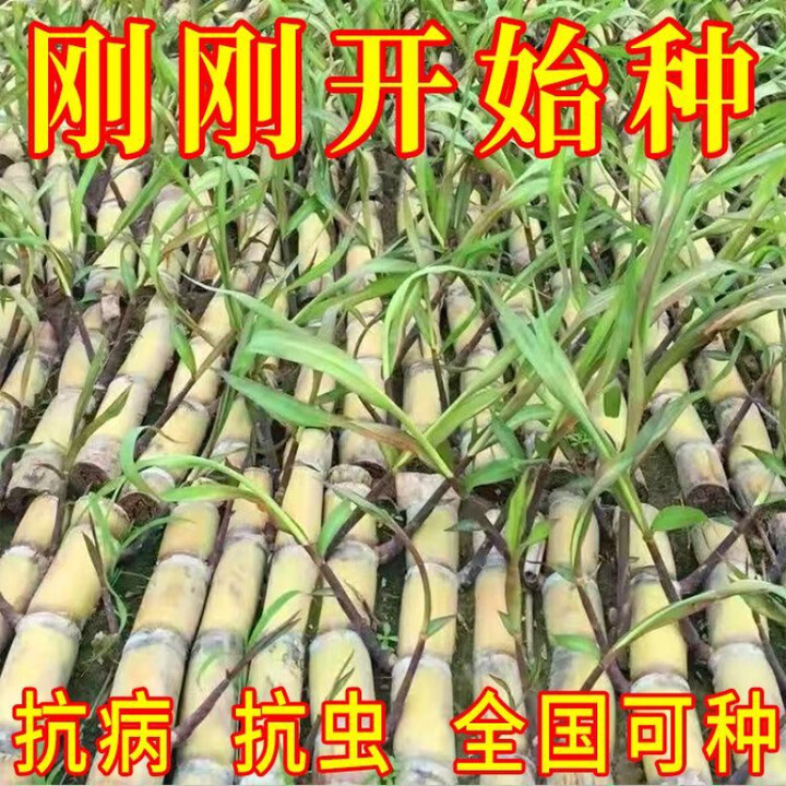 3 2 5 17 25 3-2-5-17-25