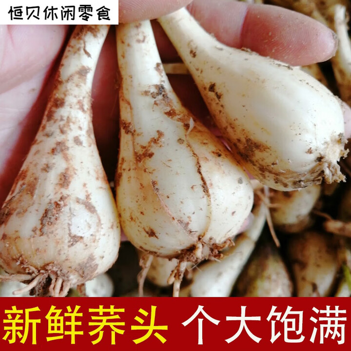 江西荞头新鲜藠头现挖无根须无叶生叫头农家自种茭头教头乔头 1000g【图片 价格 品牌 报价】-京东