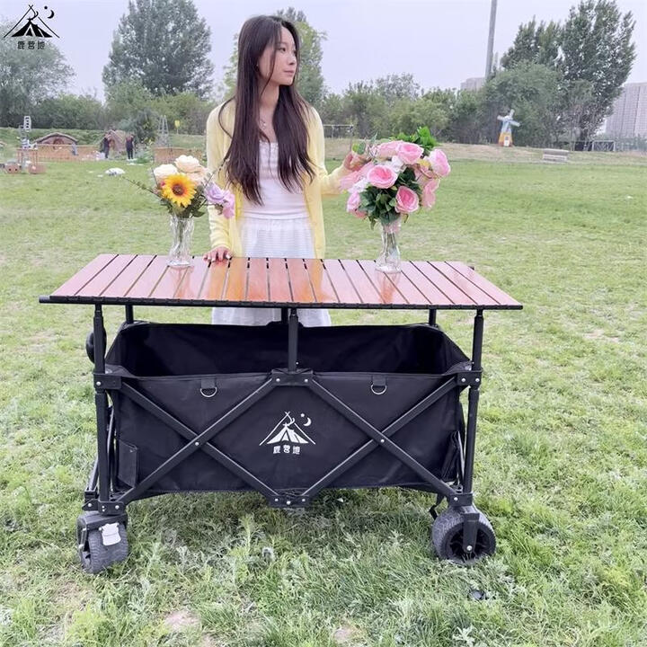 鹿营地摆摊推车露营车一体车小吃车超大款聚拢可升降地摊移动夜市餐车 黑车+120x60木纹桌