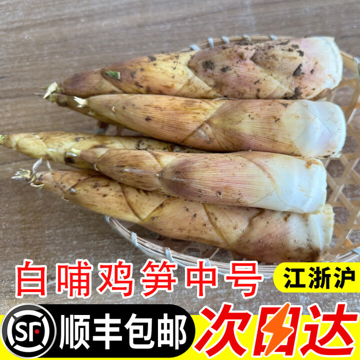 临安高山白哺鸡笋优选白壳笋新鲜现挖象牙笋嫩笋尖天目雷笋高品质 9斤 1-3两【图片 价格 品牌 报价】-京东