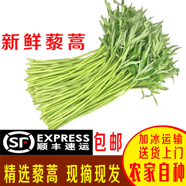 【顺丰直达】湖北洪湖藜蒿新鲜芦蒿野生洪湖泥蒿篱蒿蓠蒿特产泥耗 1500g【图片 价格 品牌 报价】-京东