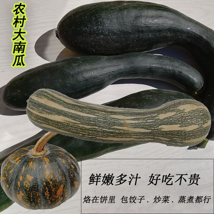 山东特产老品种南瓜新鲜蔬菜时令倭瓜嫩窝瓜包饺子做馅面方瓜煮粥 10斤【图片 价格 品牌 报价】-京东
