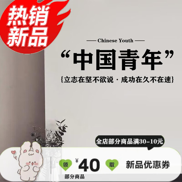 自我激励志贴画 风宿舍卧室墙壁贴班级教室文化墙装饰墙贴纸 k-588 Q款中国青年黑色 中【图片 价格 品牌 报价】-京东