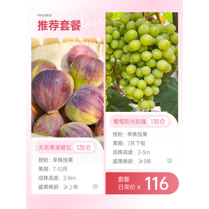海蒂的花园葡萄树苗阳光玫瑰盆栽南北方种植爬藤地栽果树海妈家 [套餐]无花果波姬红1g+葡萄阳光玫瑰1g 15cm(含)-30cm(不含)【图片 ...