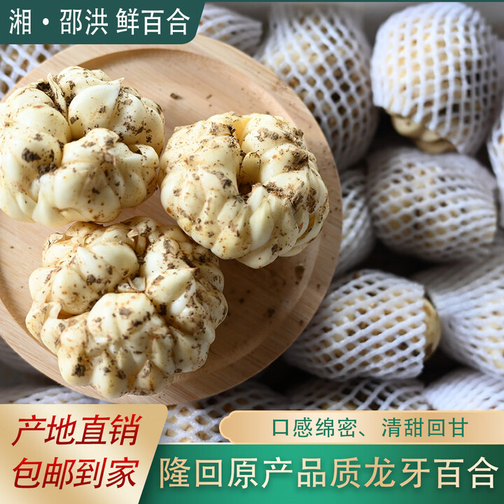 (大果)湖南龙牙百合新品首发 国家地理标志珍品 药食同源典范 粉糯甘甜 大果(2-3个/斤) 家庭装2斤/箱【图片 价格 品牌 报价】-京东