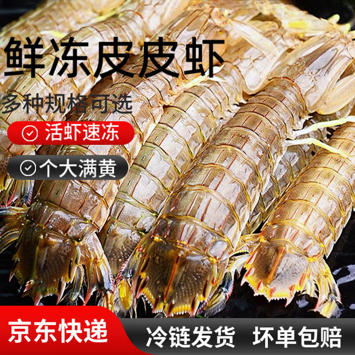 全母皮皮虾新鲜活冷冻带膏带籽虾爬濑尿虾椒盐非即食海鲜水产特大 1斤装 特大号公【11-16cm】【图片 价格 品牌 报价】-京东