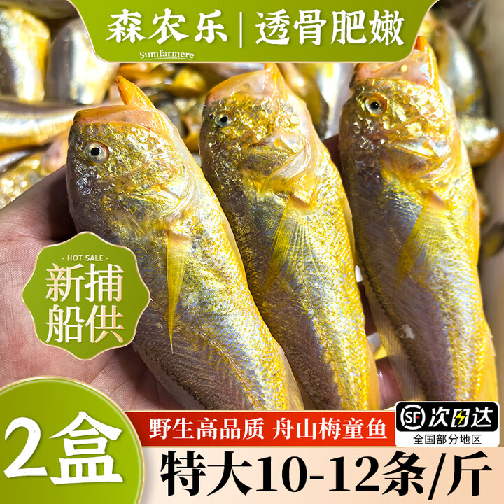 森农乐舟山梅童鱼新鲜狮头鱼沙中鱼大头宝细眼梅子鱼东海捕捞海鲜速冻 10-12条/斤【2盒 特大肥嫩】【图片 价格 品牌 报价】-京东